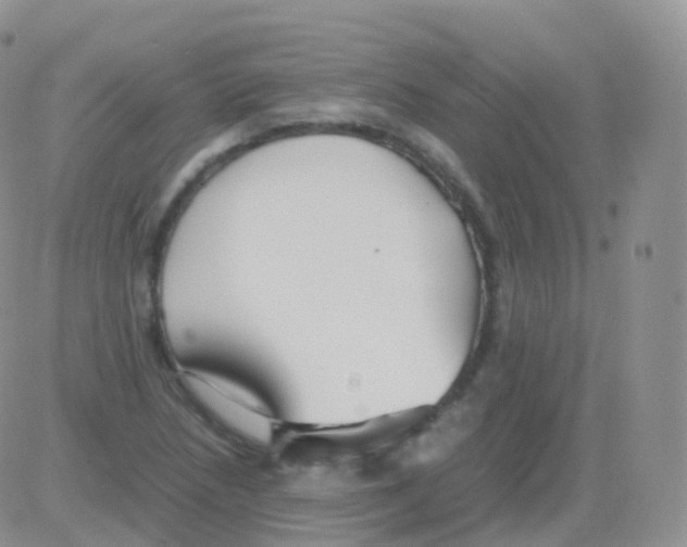 X0000082741218200702240004