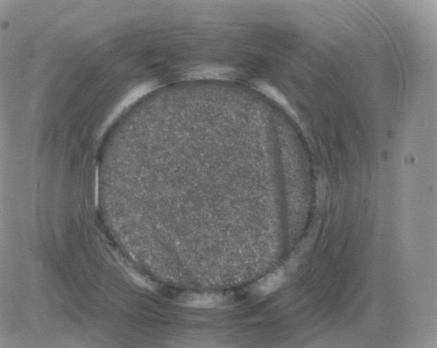 X0000082741219200702240004