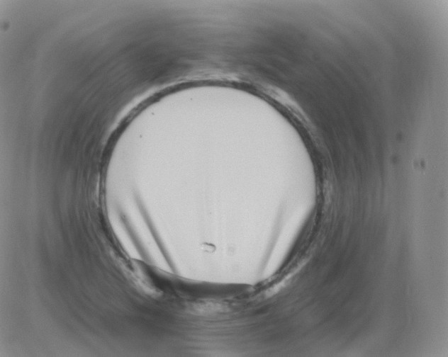 X0000082741220200702240004