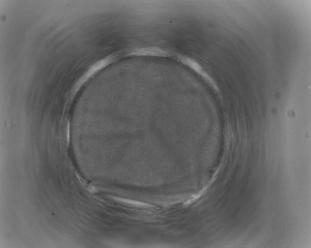 X0000082741221200702240004