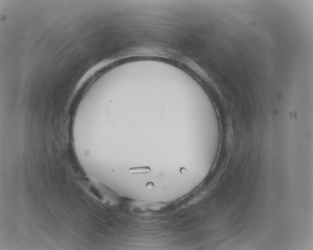 X0000082741222200702240004