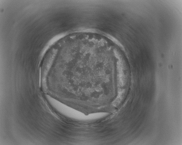 X0000082741223200702240004