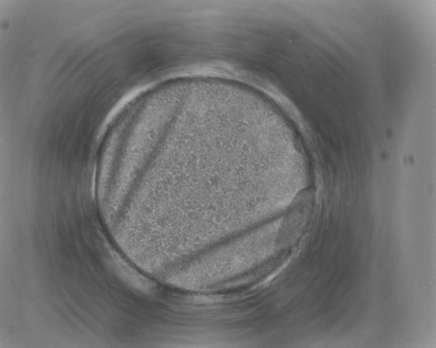 X0000082741224200702240004