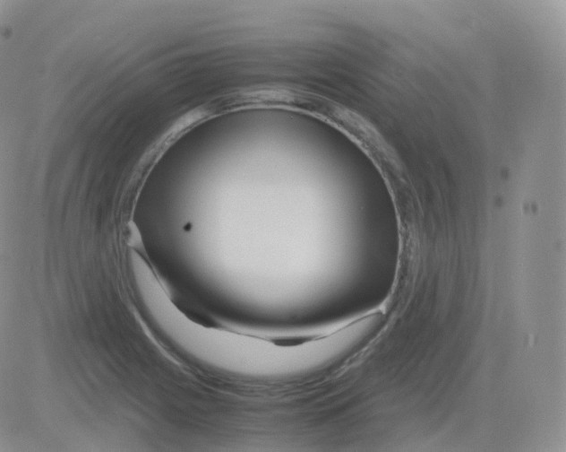 X0000082741225200702240004