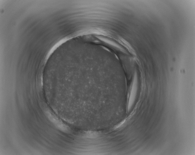 X0000082741226200702240004