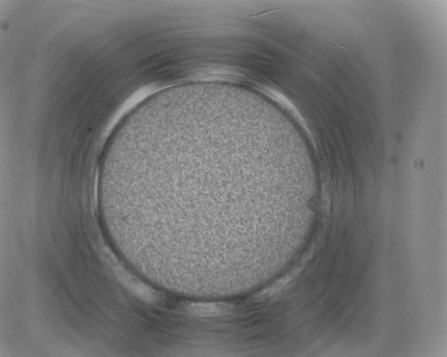 X0000082741227200702240004