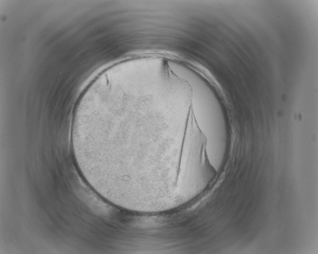 X0000082741228200702240004