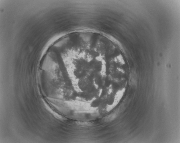 X0000082741231200702240004