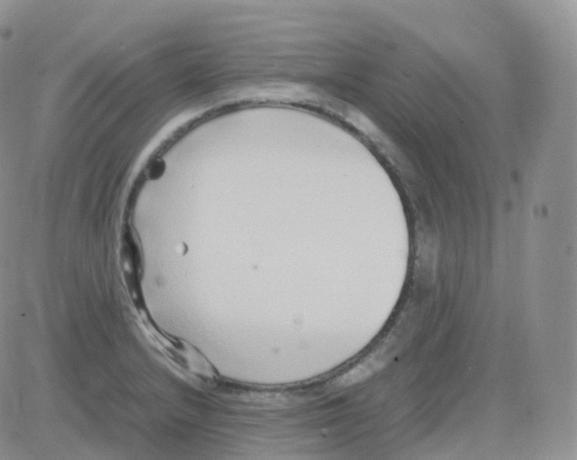 X0000082741232200702240004