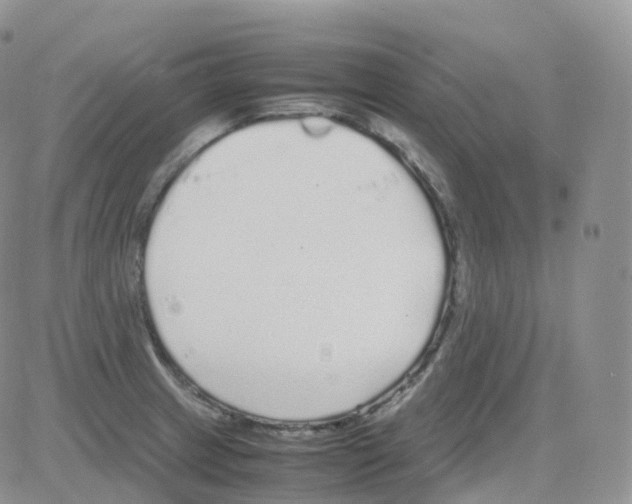 X0000082741233200702240004