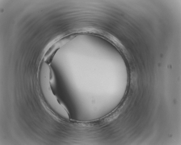 X0000082741234200702240004