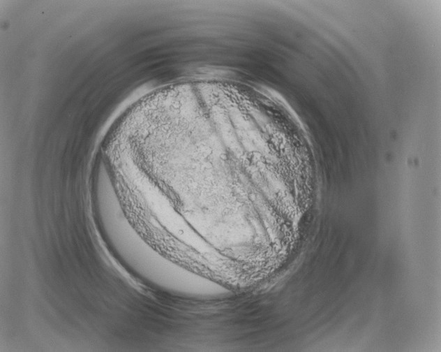 X0000082741235200702240004