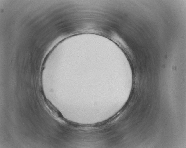 X0000082741236200702240005