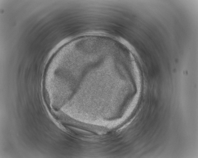 X0000082741237200702240005