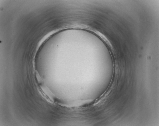 X0000082741238200702240005