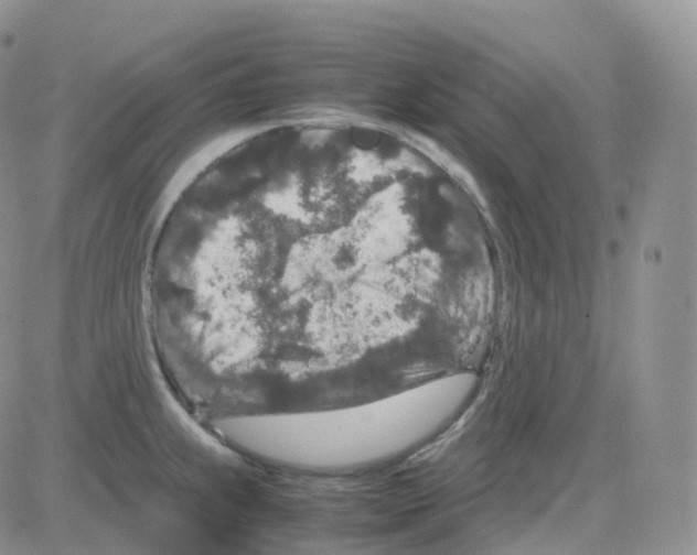 X0000082741239200702240005