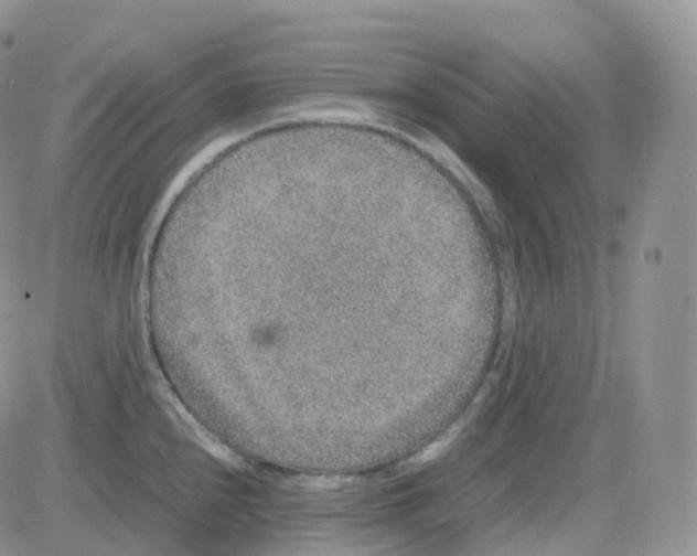 X0000082741240200702240005