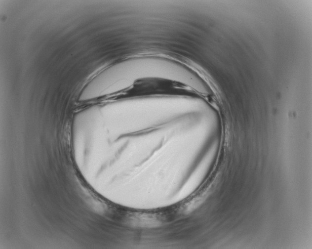 X0000082741241200702240005