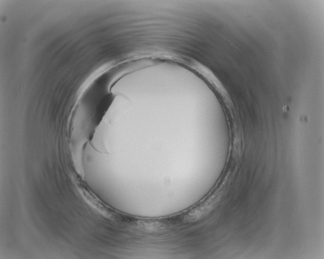 X0000082741242200702240005