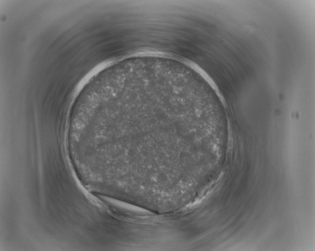 X0000082741245200702240005