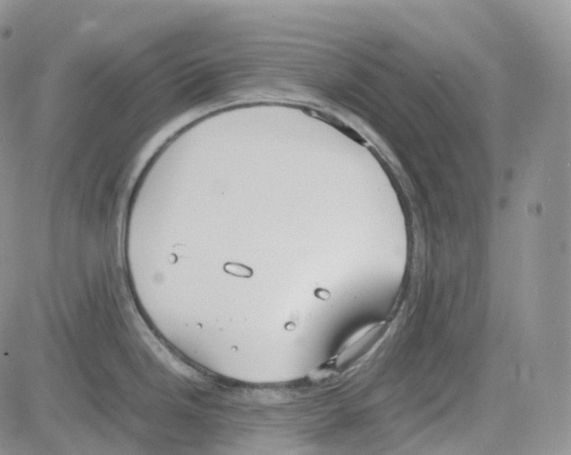 X0000082741246200702240005