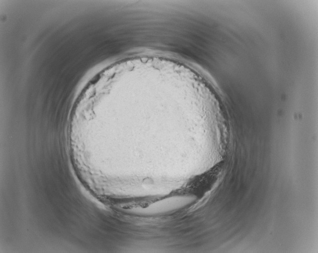 X0000082741247200702240005