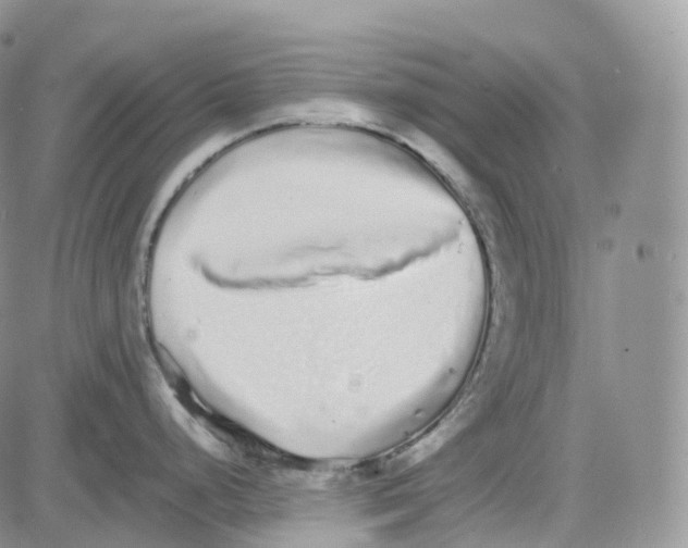 X0000082741248200702240005