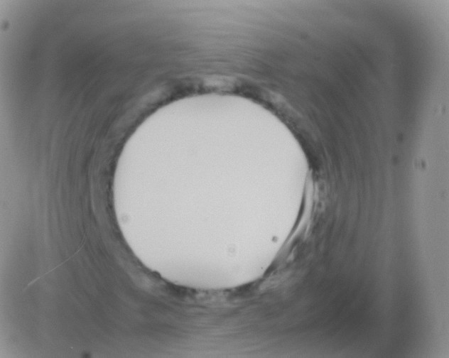 X0000082741249200702240004