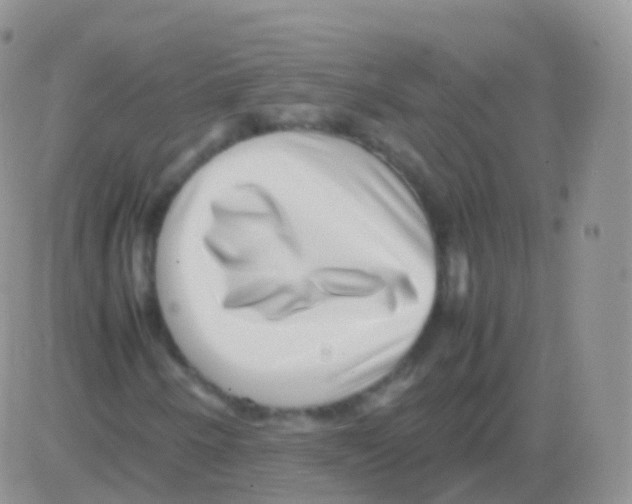 X0000082741250200702240004