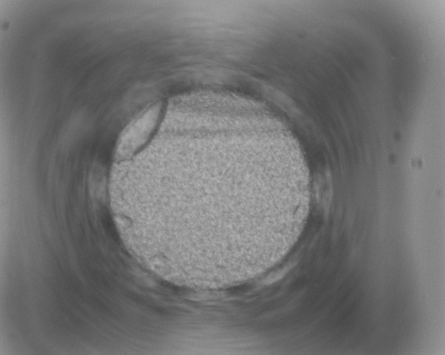 X0000082741251200702240004