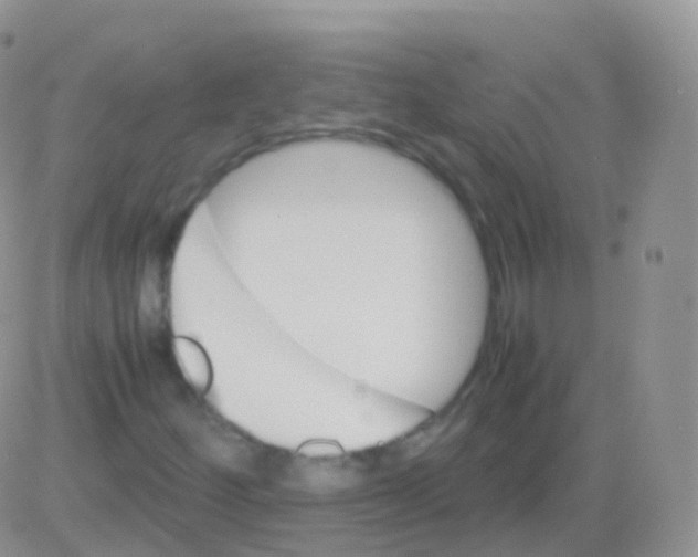 X0000082741252200702240004