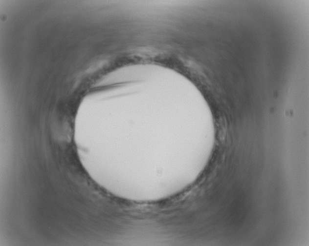 X0000082741253200702240004