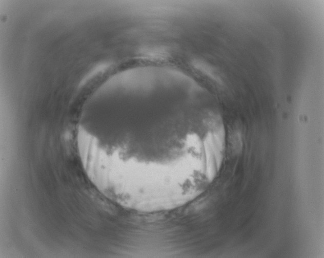 X0000082741254200702240004