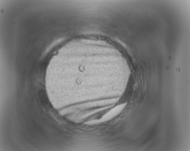 X0000082741255200702240004