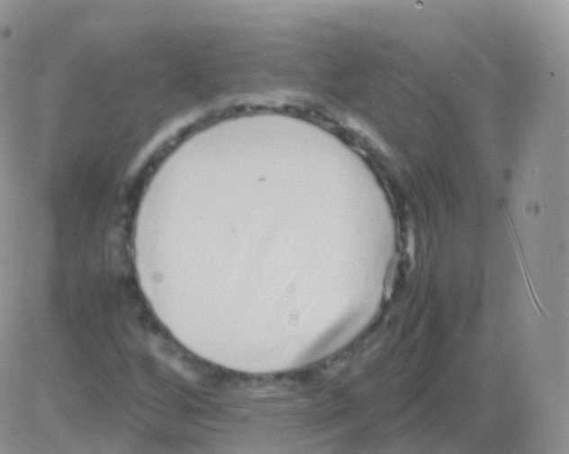 X0000082741256200702240004