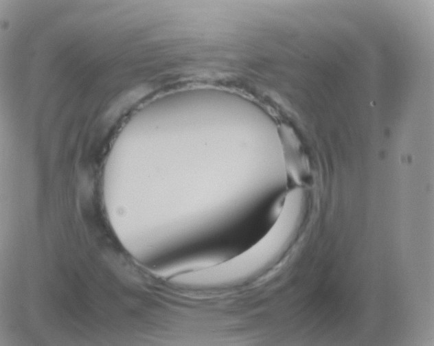 X0000082741257200702240004