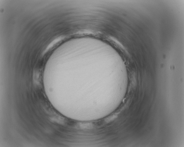 X0000082741258200702240004