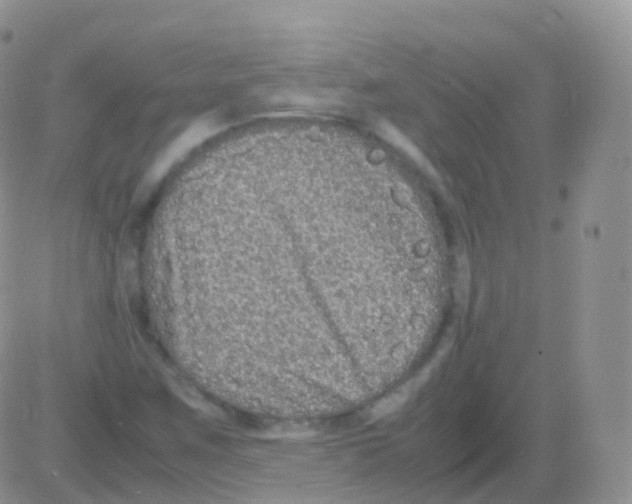 X0000082741259200702240004