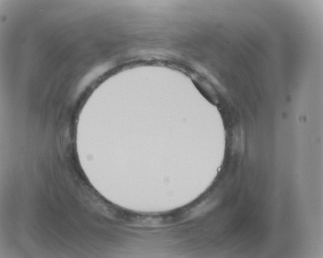 X0000082741261200702240004