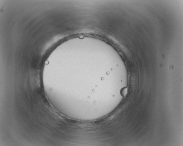 X0000082741262200702240004