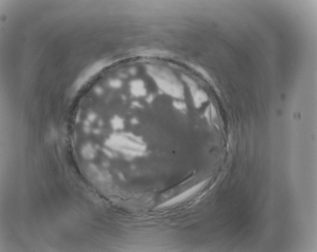 X0000082741263200702240004