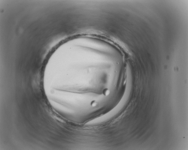 X0000082741264200702240004