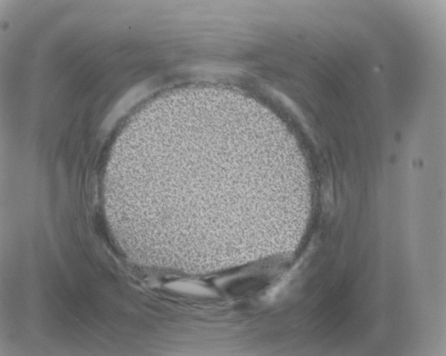 X0000082741267200702240004