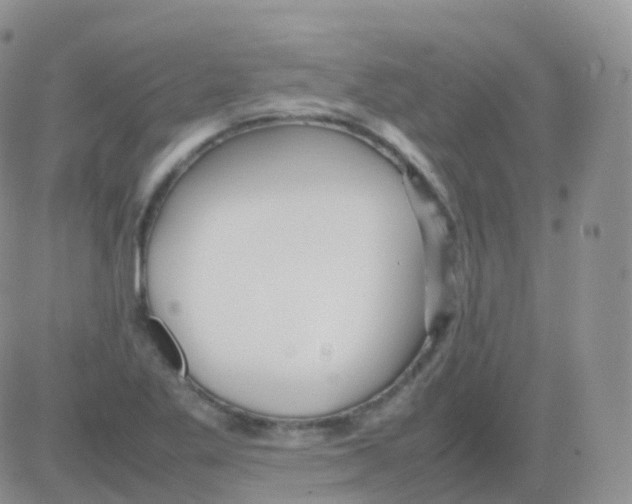 X0000082741269200702240004