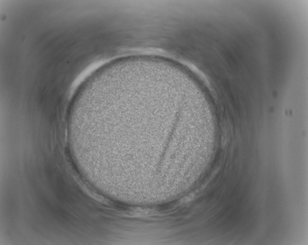 X0000082741271200702240004