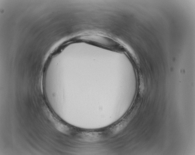 X0000082741272200702240004