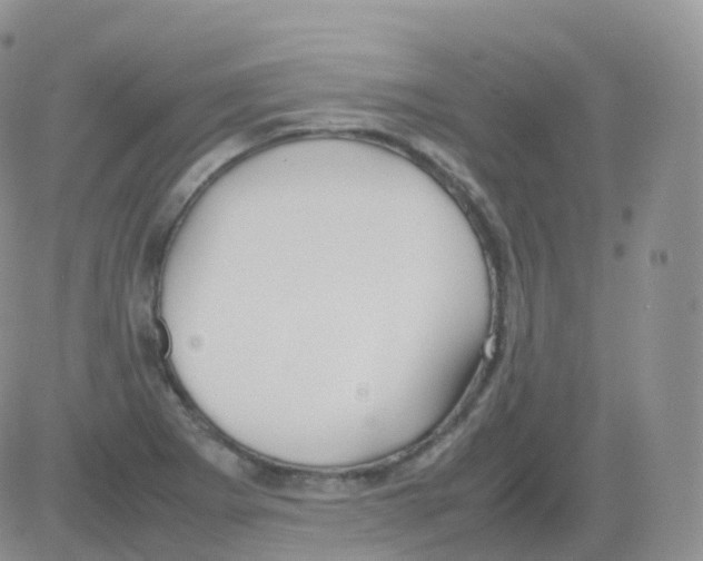 X0000082741273200702240004