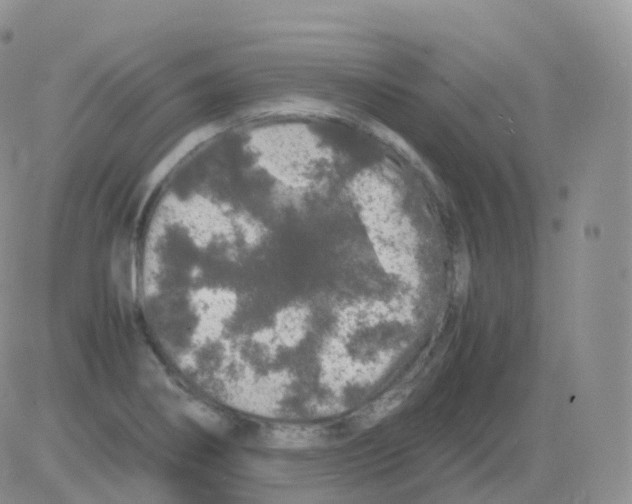 X0000082741274200702240003