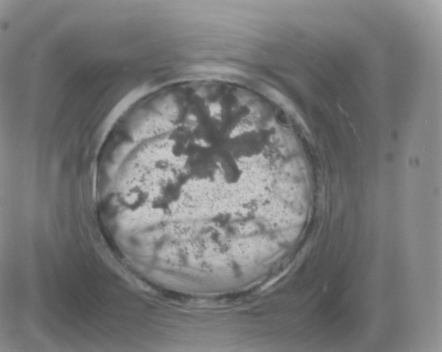 X0000082741275200702240003