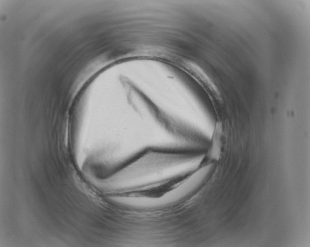 X0000082741276200702240003